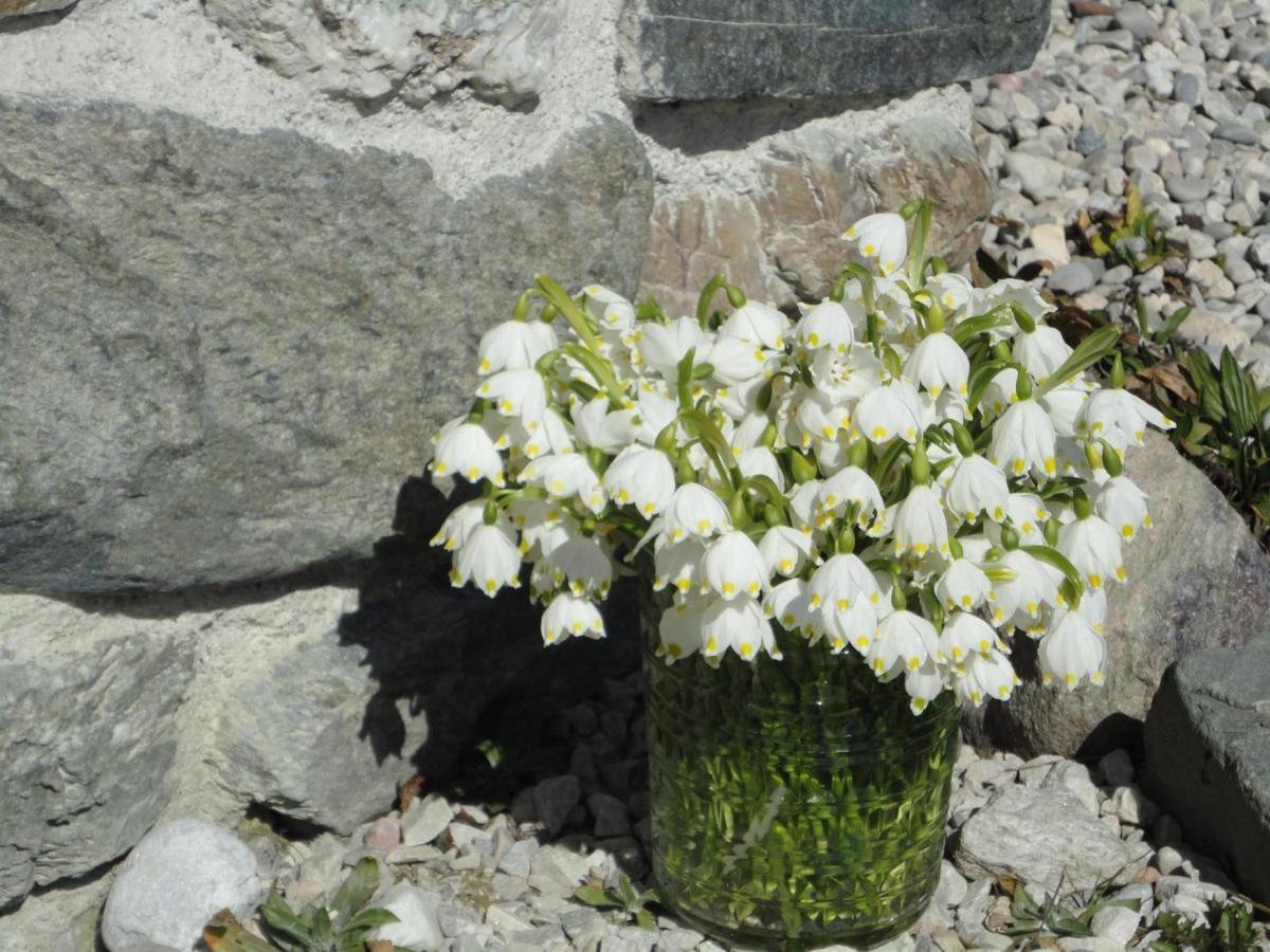 Schiessling Hof Vila Oberndorf in Tirol Exterior foto